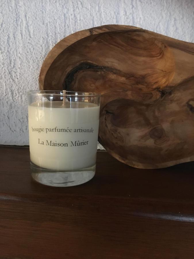 La Maison Murier Chef-Boutonne 외부 사진